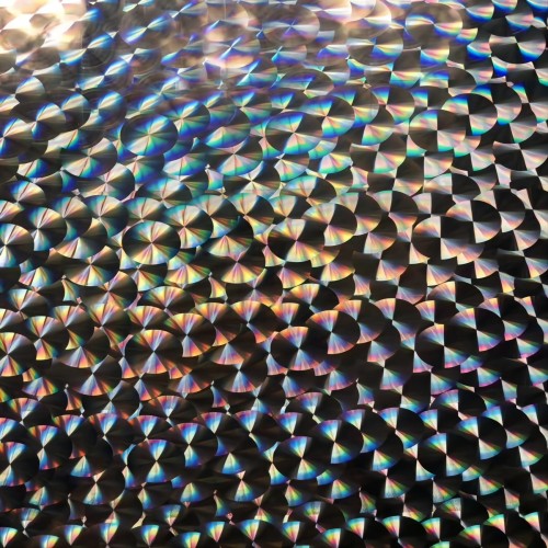 wide web hologram master